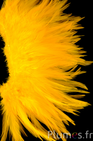 Frange coq - long. plumes 10-15 cm - jaune